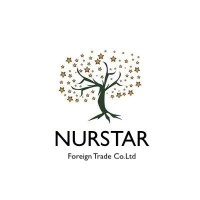 Nurstar Foreigntrade logo - Similar company to Webhouse.Ir