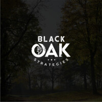 Black Oak Strategies logo - Similar company to Distant Replays Inc