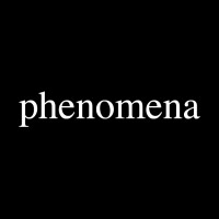 phenomena creative advisory logo - Similar company to Custer Waller