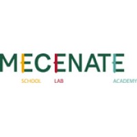 Mecenate Academy logo - Similar company to Connexion Consulting