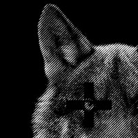 Baroja Lobo Photography logo - Similar company to Foxmedia Group