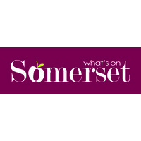 What's on Somerset logo - Similar company to Techosaurus Ltd