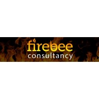 Firebee Consultancy Ltd logo - Similar company to Illumino Ignis Technical Ltd