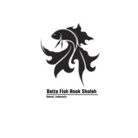 Betta Fish logo - Similar company to Forebel