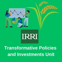 IRRI's Transformative Policies and Investments Unit logo - Similar company to Healthy Crops