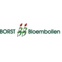Borst Bloembollen logo - Similar company to Goodwave Breda