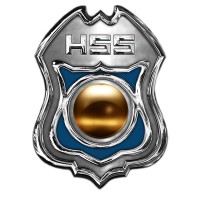 Homeland Safety Systems logo - Similar company to Toepfer Security