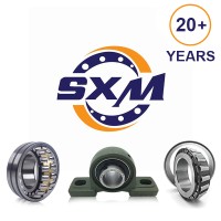 Wuxi Shenxi Bearing Manufacturing Co., Ltd. logo - Similar company to Lvssn Industry