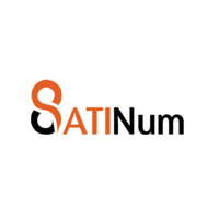 SATINUM logo - Similar company to Mpindustrie