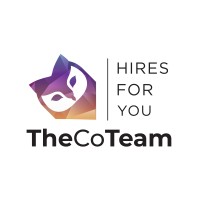 TheCoTeam logo - Similar company to Encore Data Products