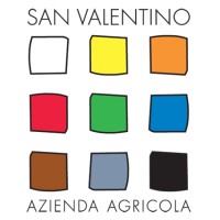 Vini San Valentino - dal 1990 logo - Similar company to Metodo Winexcel - Consigli Pratici Per Esportare Con Successo I Tuoi Vini