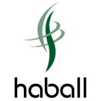 Haball (Private) Limited logo - Similar company to Dignite Studio