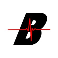 Borbonato's Oficina Automovel logo - Similar company to Fastline