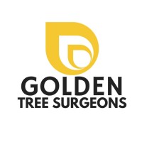 Golden Tree Surgeons logo - Similar company to Taylor Trees