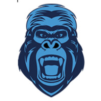 Blue Gorilla Marketing logo - Similar company to Groint
