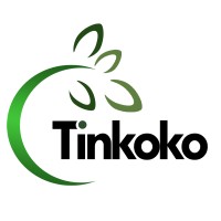 Tinkoko Global Services Limited logo - Similar company to Educura