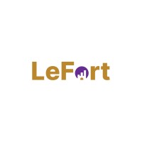 LEFORT PROFESSIONAL SERVICES logo - Similar company to Data Geek Ltd. (Rc-7840205)