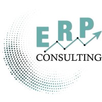 ERP Consulting logo - Similar company to Green Box Srl