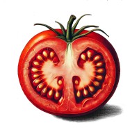 Allegedly logo - Similar company to Blue Visual Effects, Inc.