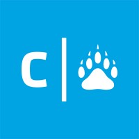 Cassel Bear logo - Similar company to Whitespace
