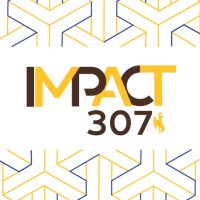 IMPACT 307 logo - Similar company to Advance Casper