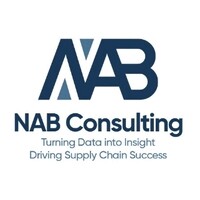 NAB Consulting logo - Similar company to Nab Consultants