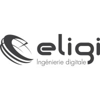 ELIGI logo - Similar company to Nganalytics