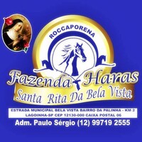 Haras Santa Rita da Bela Vista logo - Similar company to Equivet