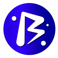 Brando Brains Agency logo - Similar company to Wall Plus