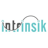 Intrinsik logo - Similar company to Upkit Studio