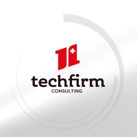 TechFirm Consulting logo - Similar company to Techfirm Group