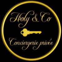 Holy&Co logo - Similar company to Africa Global Data