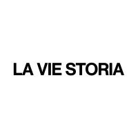 La Vie Storia logo - Similar company to Foreign Policy Community Of Indonesia Chapter Universitas Muhammadiyah Yogyakarta