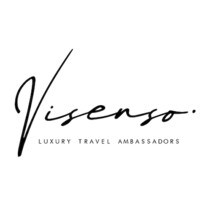 Visenso logo - Similar company to Brainstorm En Concept