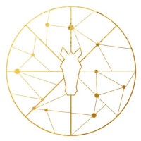 Romy Heinig logo - Similar company to Mytag Call