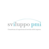 Sviluppo pmi srl logo - Similar company to Engineering Factory