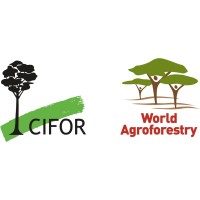 CIFOR-ICRAF logo - Similar company to Icraf