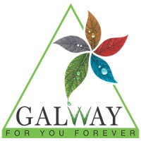 Galway Official logo - Similar company to V & K Services Limited