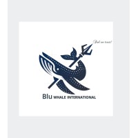 BLU WHALE INTERNATIONAL logo - Similar company to Idis India
