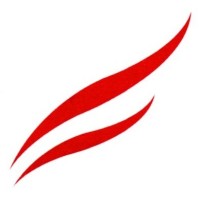 Stimes Steel Contracting logo - Similar company to Basha Power Solutions