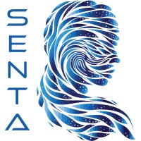 Senta LLC logo - Similar company to Off The Field Nfl Wives Association