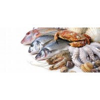 Marine Exports logo - Similar company to Royce Web Solutions