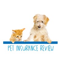 Pet Insurance Review logo - Similar company to Ulamapp
