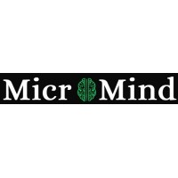 MicroMind Solution logo - Similar company to Accelerated