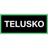 TELUSKO logo - Similar company to Aziqdev