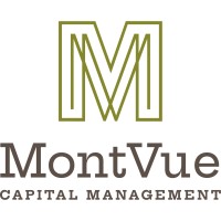 MontVue Capital Management logo - Similar company to Selective Wealth Management