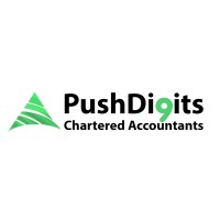 Push Digits Chartered Accountants logo - Similar company to A2R Solutions