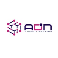 ADN - ACADEMIA DE DADOS NJINGA logo - Similar company to Lobinet Lda