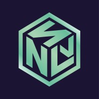 Northern Lights Token logo - Similar company to Arno Token
