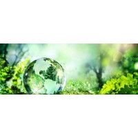 Global Remediations Ltd